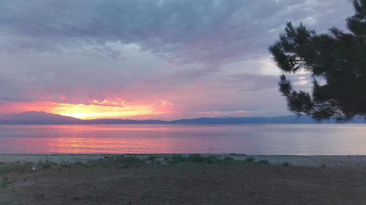 Villa Palma Skala Rachoni  Dış mekan fotoğraf